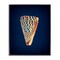 Stupell Industries Cone Shell on Blue Framed Giclee Wall Art Design by Graffi*tee Studios